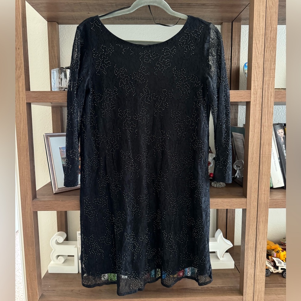 Zara Black Long Sleeve Sparkle Lace Dress